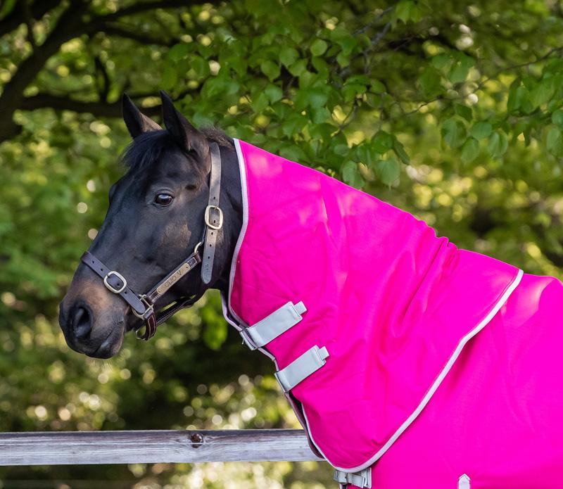 Swish 200G Turnout Rug Neck Cover - Pink