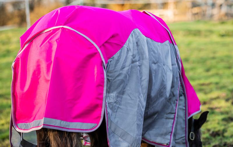 Swish Fly Turnout Combination Rug - Pink