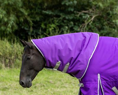 Swish 50G Purple Turnout Rug Neck Cover