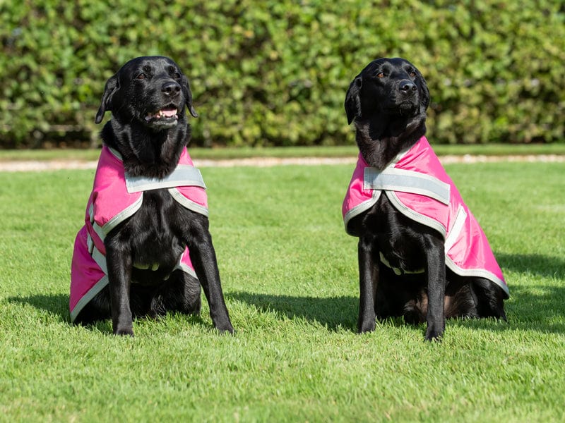 Swish Waterproof Dog Coat - Raspberry