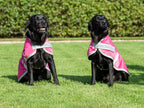 Swish Waterproof Dog Coat - Raspberry