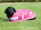 Swish Waterproof Dog Coat - Raspberry