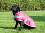 Swish Waterproof Dog Coat - Raspberry