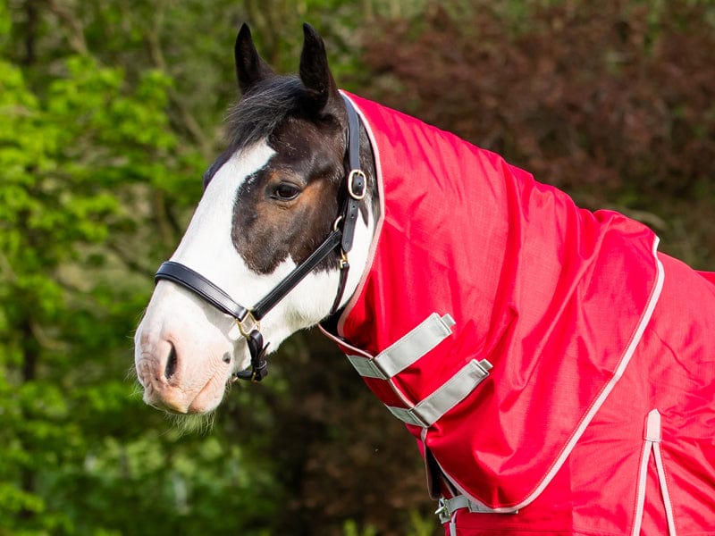 Swish 200G Turnout Rug Neck Cover - Red