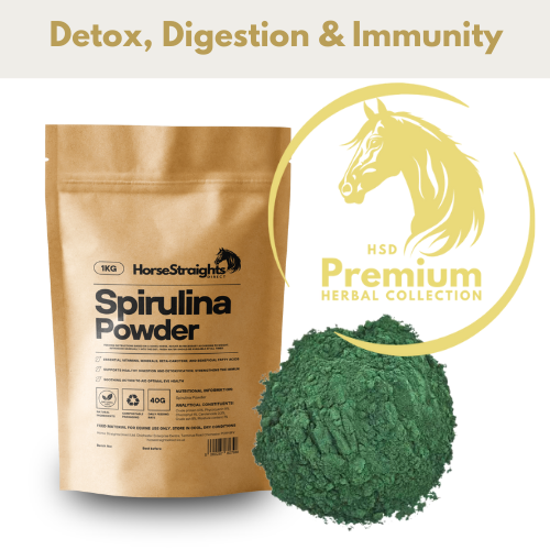 HSD Spirulina Powder