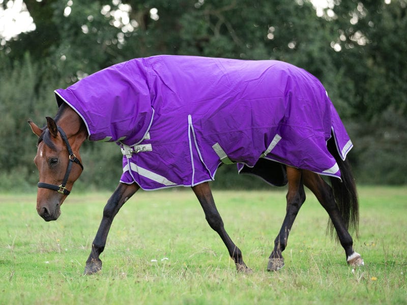 Swish 100G Fixed Neck Turnout Rug - Purple