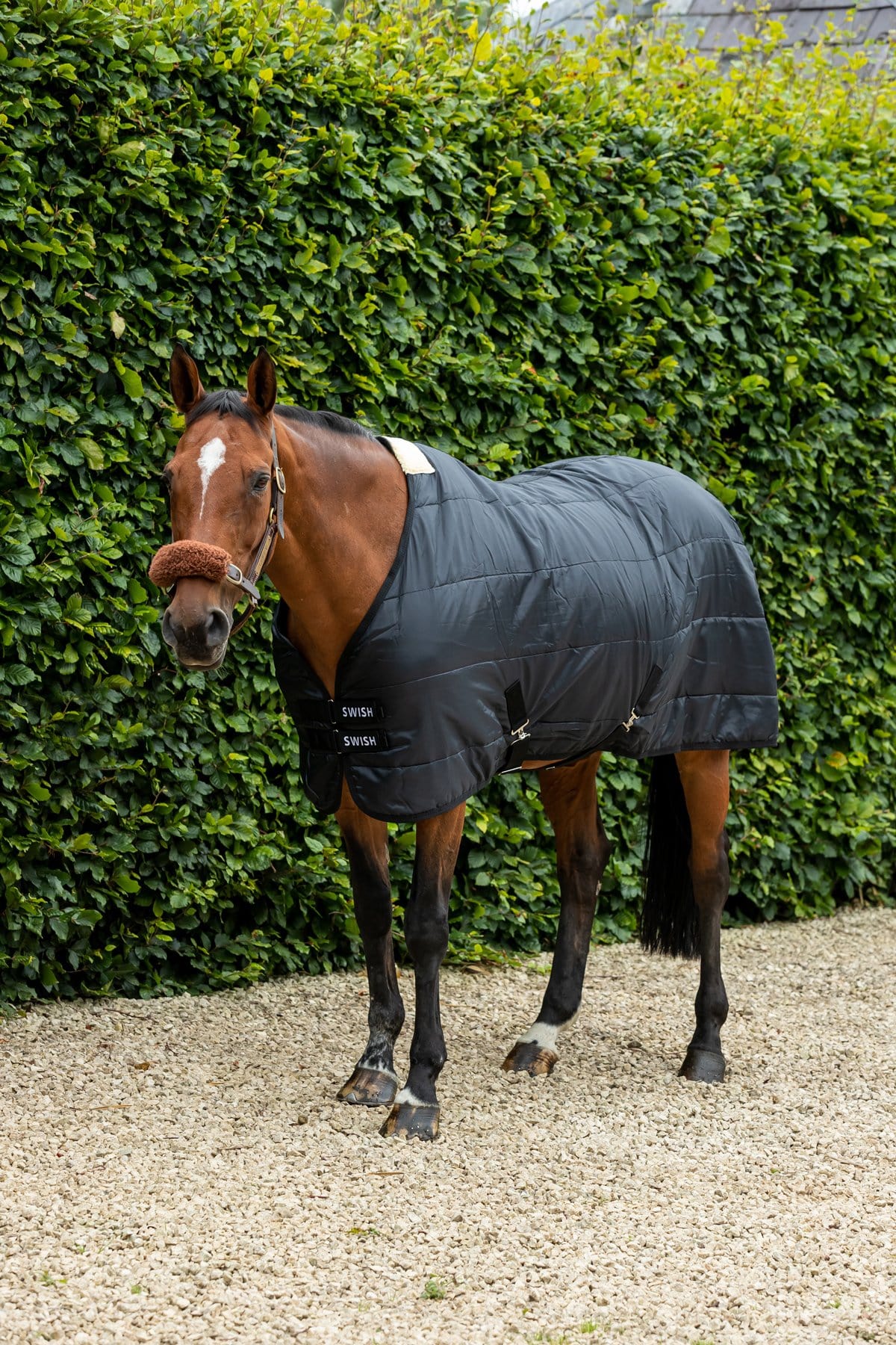 Swish 100G Horse Under Rug With Surcingles