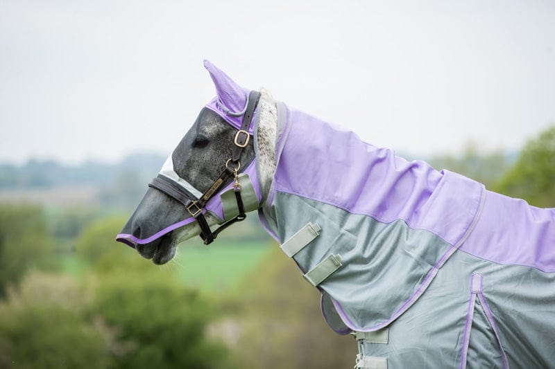 Swish Fly Turnout Combination Rug (Nylon) - Violet